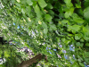DSC_1474.JPG